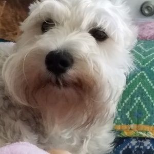 Meet your Posher, Lexi